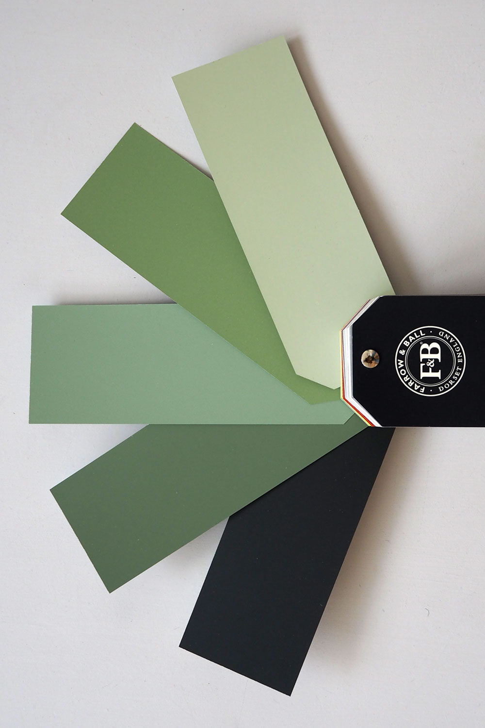 Colour Trends