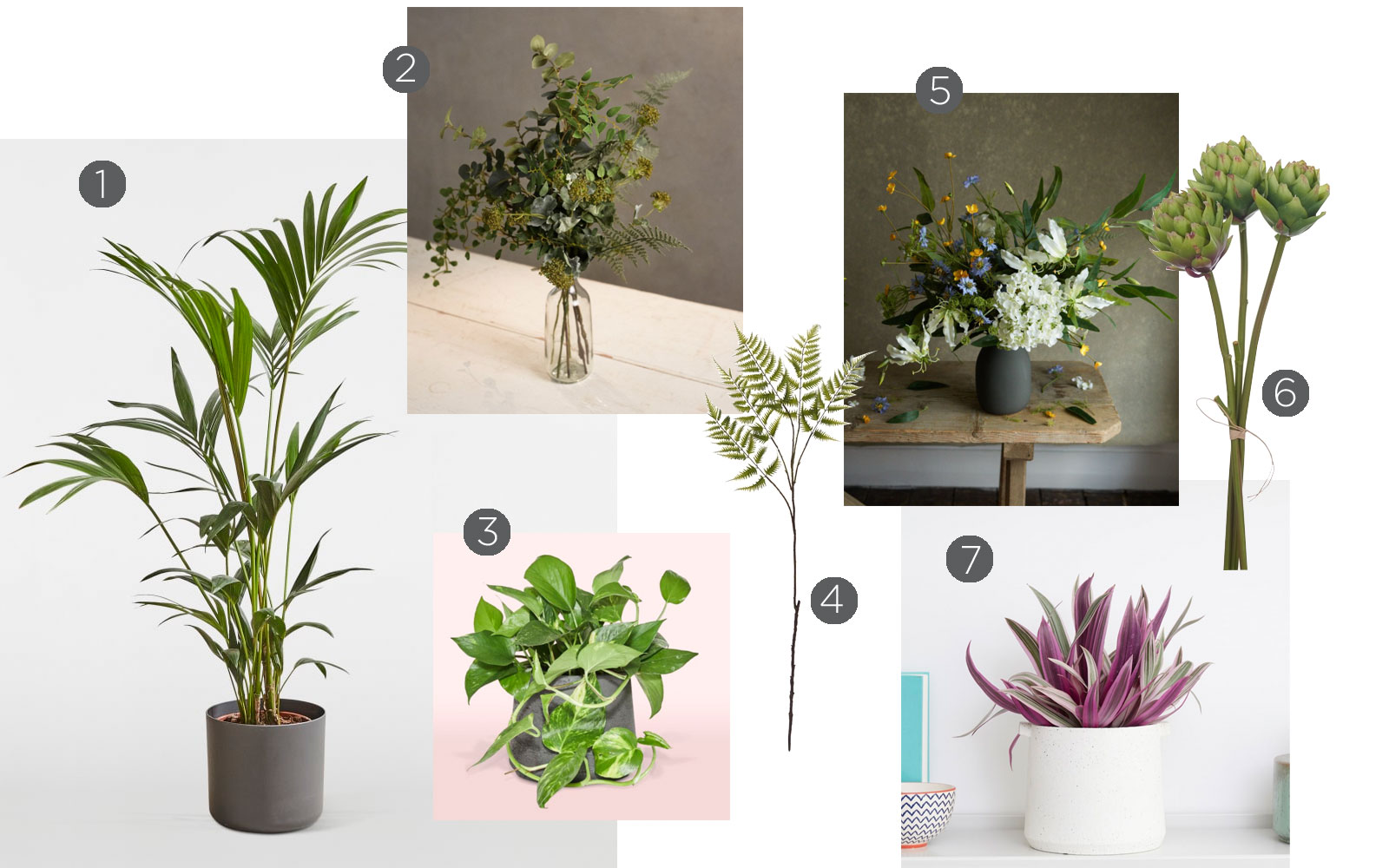 botanical trend